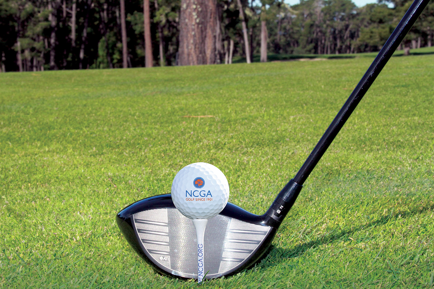 1500-Nov-18-2025-08-08-46-1352-PM