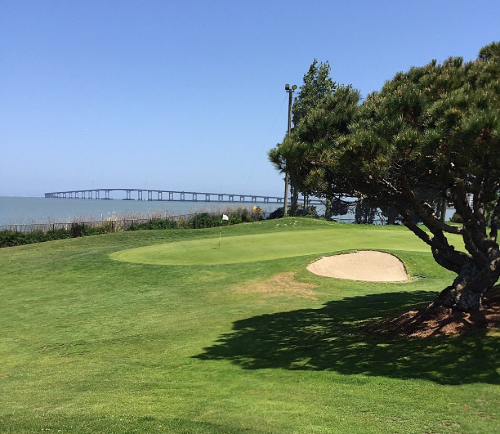 2 thru the trees