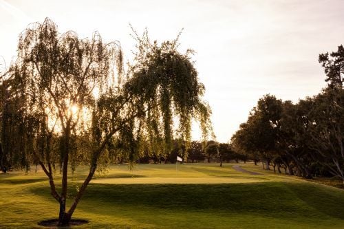2026 DelMonte_2_2026_Ground_Green