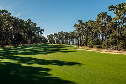 Poppy Hills 