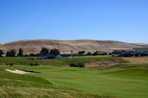 54556520178_96c3c4a426_o