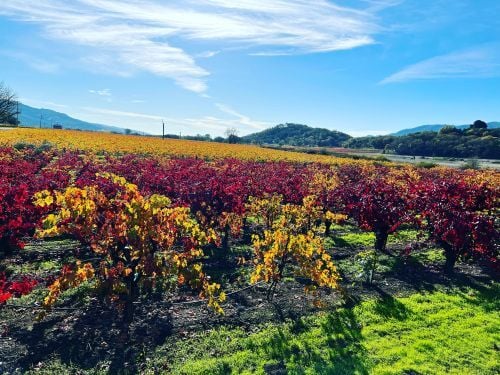 A7DC63C4-F86D-41BA-A87C-0ED5EA25BB1F