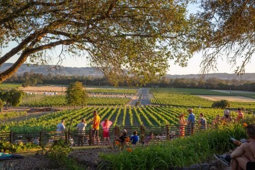 Gundlach Bundschu Winery