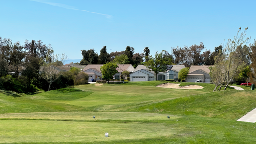 Hole No.15