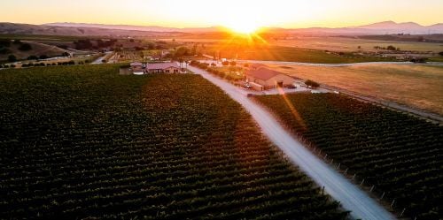 LVWA_McGrailVineyard_Aerials