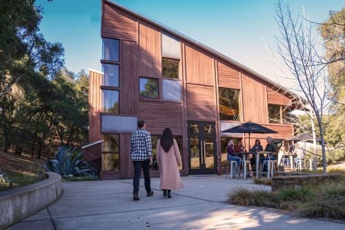 Linn Colado tasting room