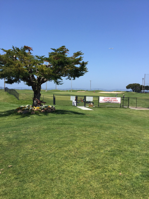 short game