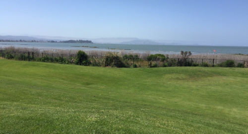 wide bay shot